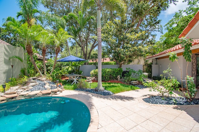 view of pool with a patio