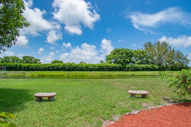 view of yard with a rural view