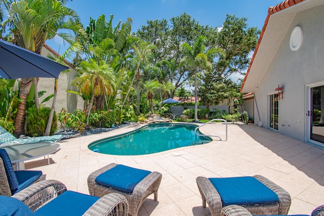 view of pool featuring a patio