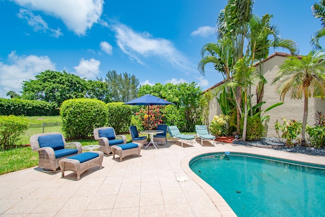 view of swimming pool with a patio area