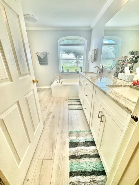 bathroom featuring a washtub, wood-type flooring, ornamental molding, and vanity