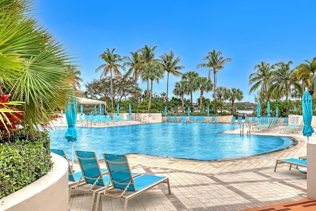 view of pool featuring a patio area