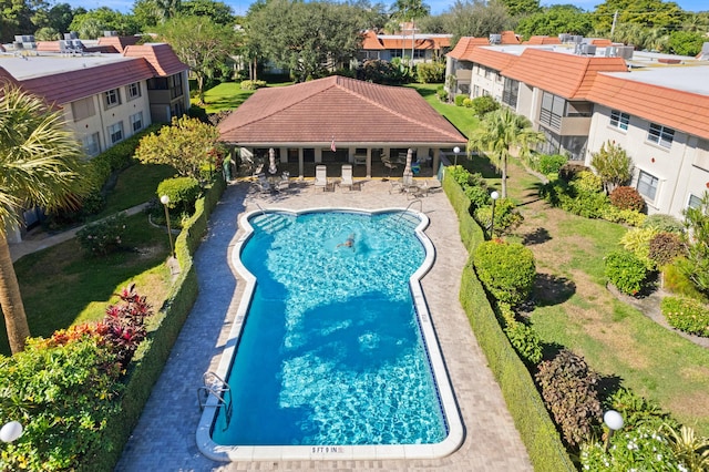 view of pool featuring a patio area