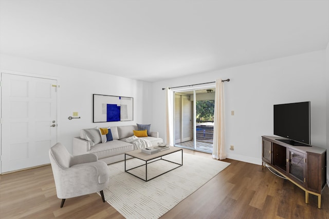 living room with wood-type flooring