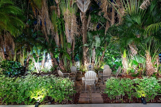 view of yard featuring a patio area