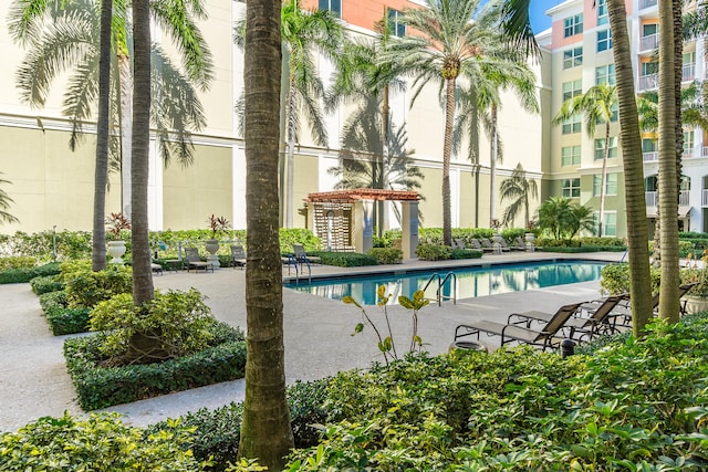 view of swimming pool with a pergola