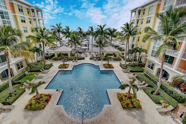 view of pool with a patio