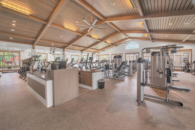 workout area featuring high vaulted ceiling, plenty of natural light, and ceiling fan