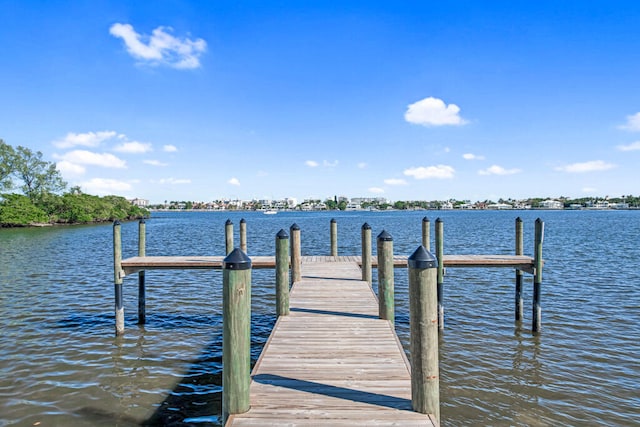 dock area with a water view