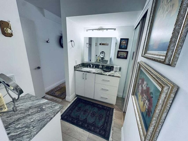 bathroom featuring wood-type flooring and vanity