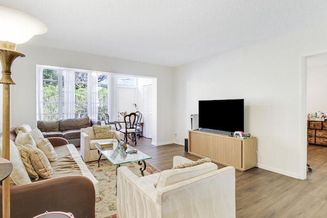 living room with wood-type flooring