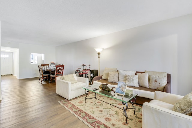 living room featuring wood-type flooring