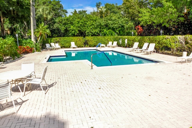 view of swimming pool with a patio