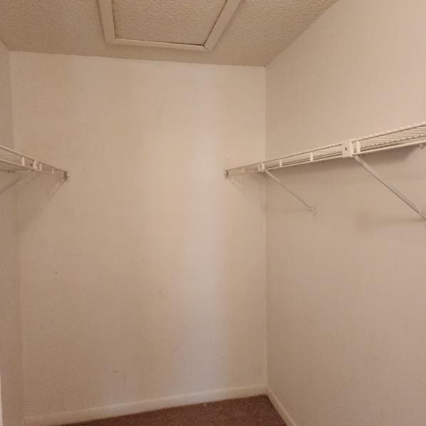 walk in closet with dark carpet