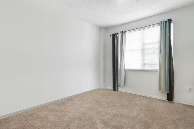 empty room featuring light carpet and a textured ceiling