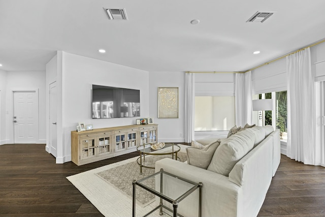 living room featuring dark wood-type flooring