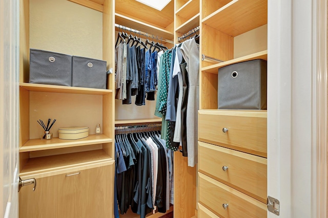 view of spacious closet