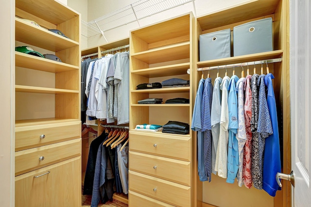 view of walk in closet