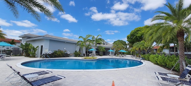 view of swimming pool featuring a patio area