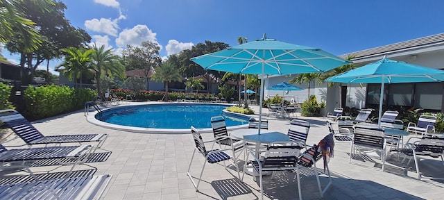 view of swimming pool featuring a patio