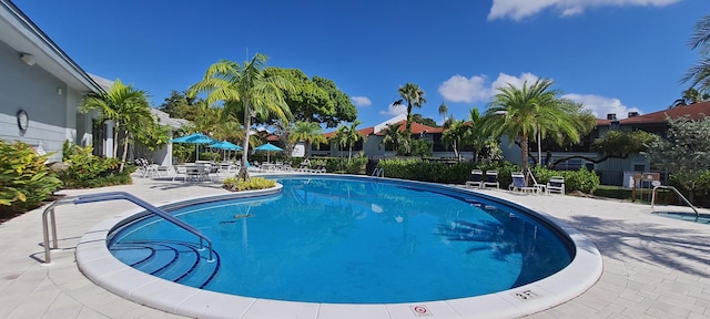 view of pool featuring a patio