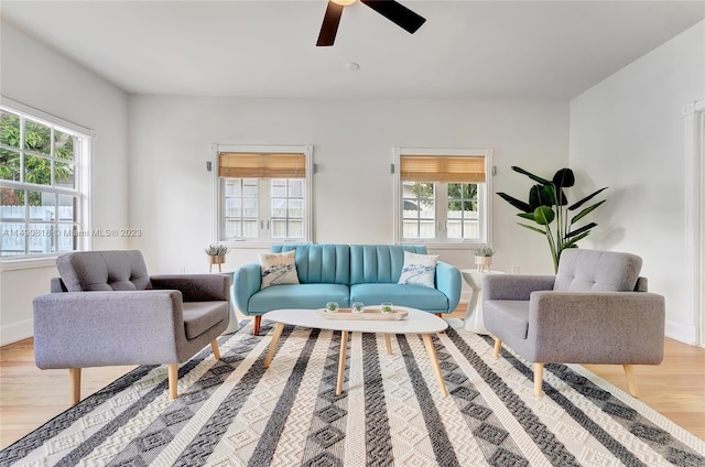 living room featuring ceiling fan and light hardwood / wood-style floors