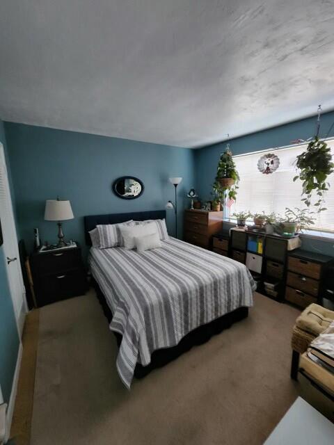 bedroom featuring carpet flooring