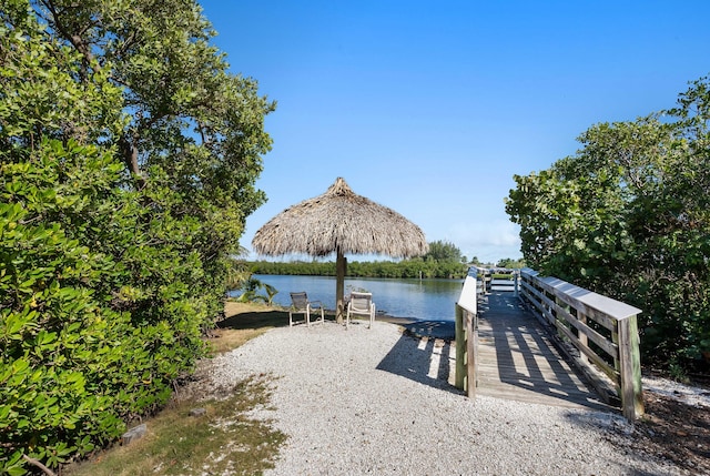 dock area with a water view