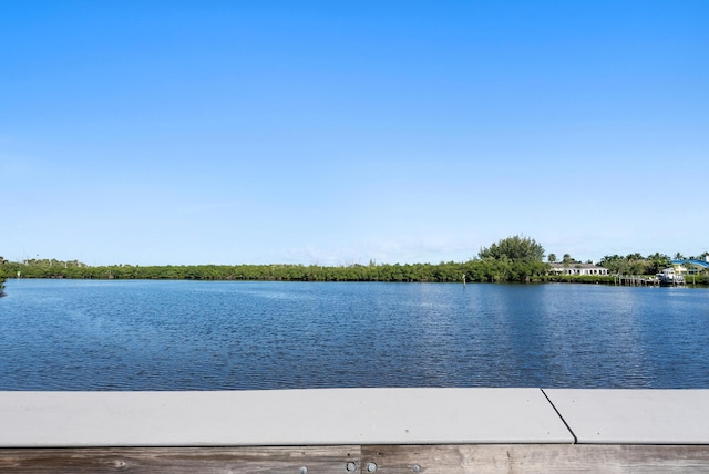 view of water feature