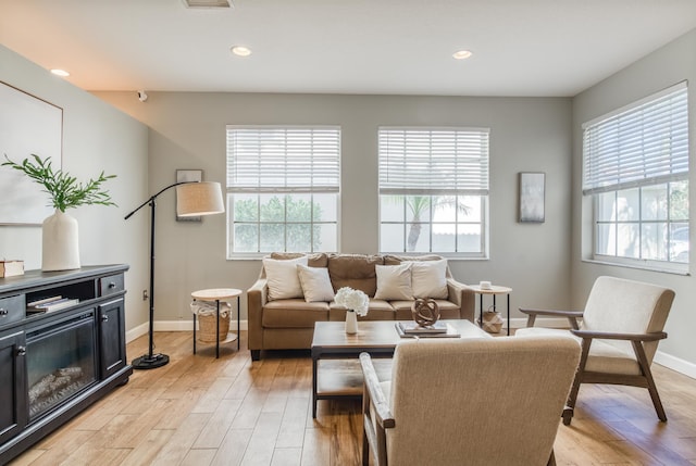 living room featuring light hardwood / wood-style floors and a healthy amount of sunlight