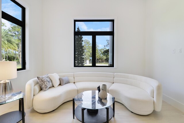 living room featuring plenty of natural light and wood-type flooring