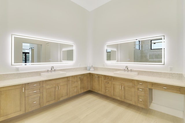 bathroom with vanity and hardwood / wood-style flooring