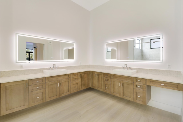 bathroom with hardwood / wood-style flooring and vanity