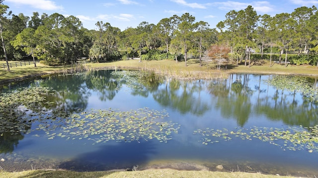 view of water feature