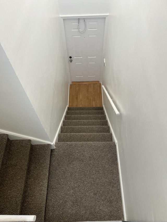 stairway with carpet floors