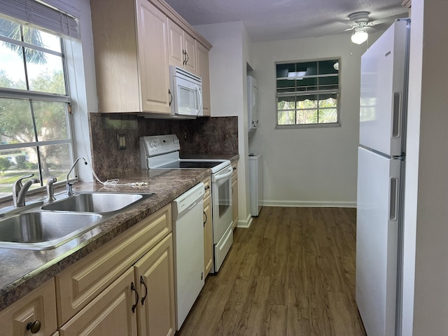 kitchen featuring plenty of natural light, dark hardwood / wood-style flooring, sink, and white appliances