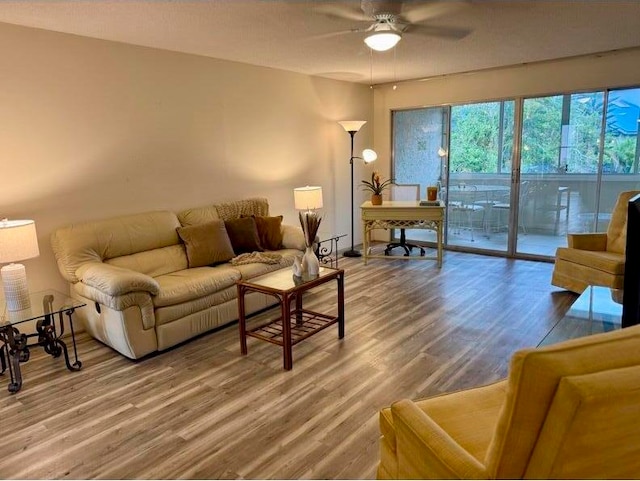 living room with ceiling fan and hardwood / wood-style flooring