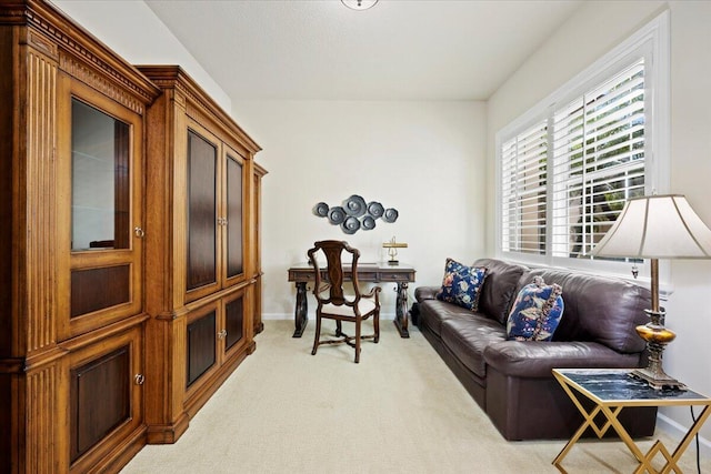 living room featuring light carpet