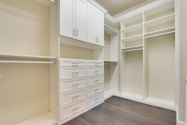 spacious closet featuring dark hardwood / wood-style flooring