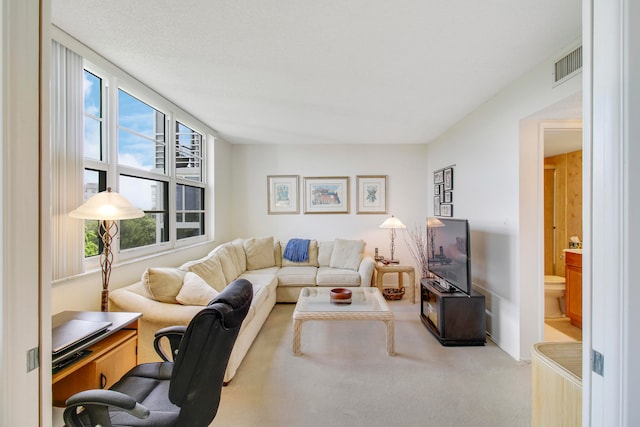 living room featuring light colored carpet