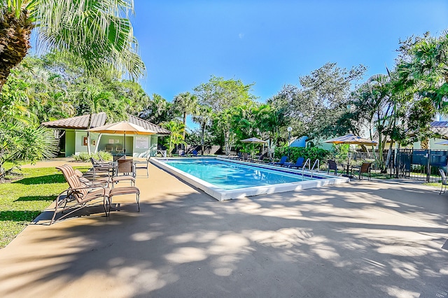 view of swimming pool with a patio