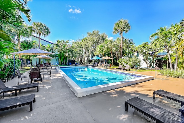 view of pool with a patio area