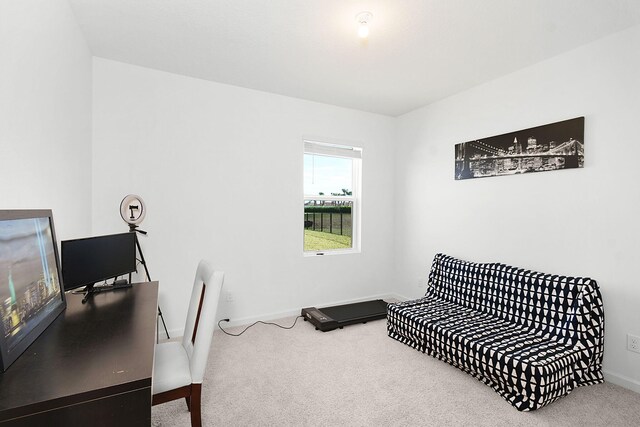 office area featuring carpet flooring