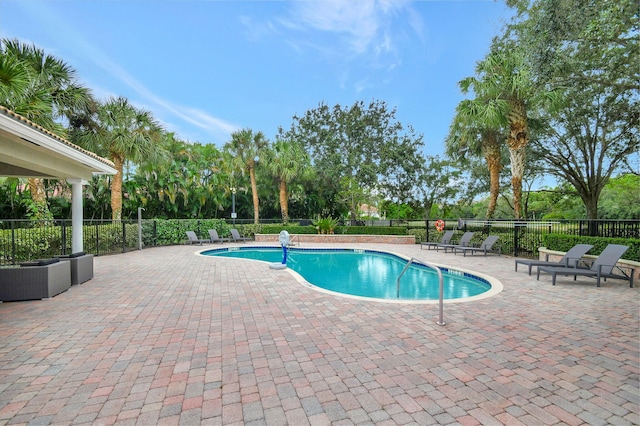 view of swimming pool with a patio