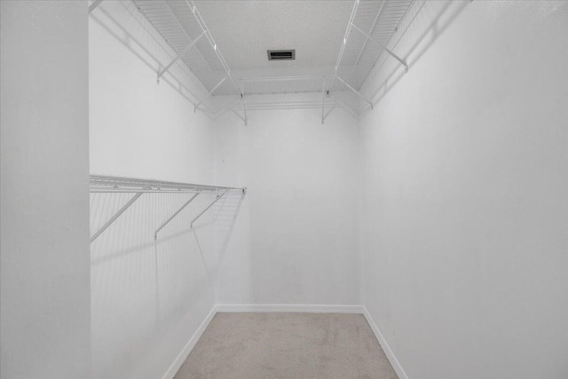 walk in closet featuring carpet