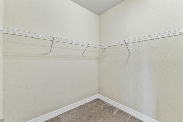 walk in closet featuring lofted ceiling and carpet