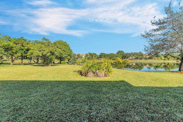 view of yard with a water view