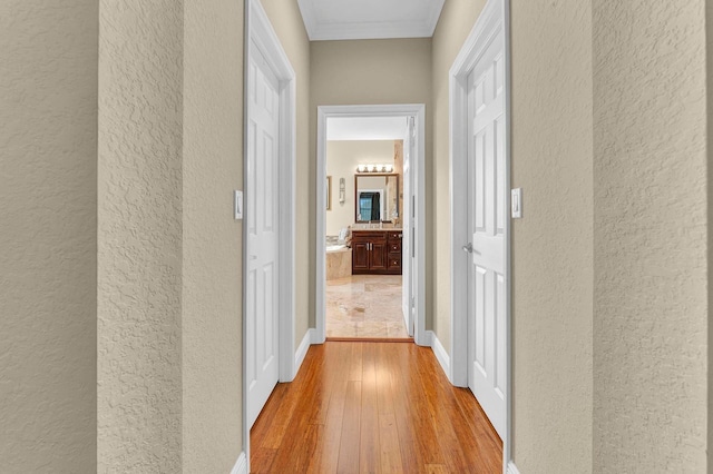 hall with light hardwood / wood-style floors