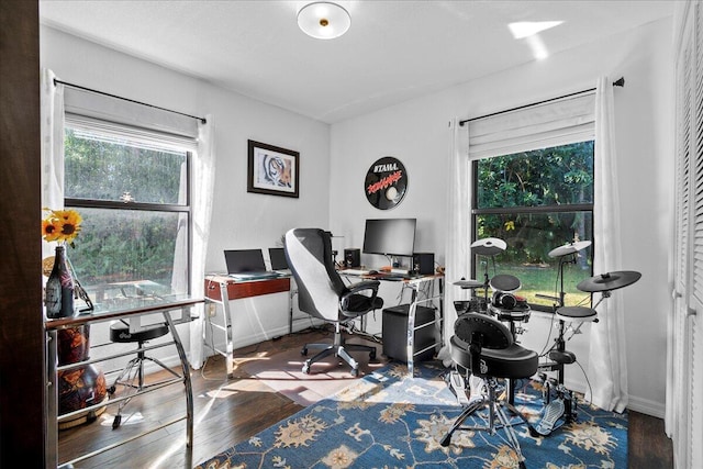 office area featuring dark hardwood / wood-style flooring