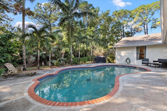 view of pool with a patio